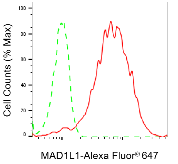 [KD Validated] Anti-MAD1L1 Rabbit mAb [48R62B54]