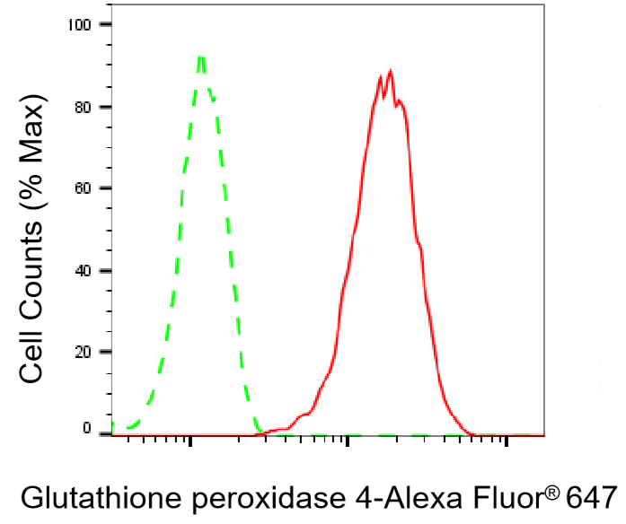 [KD Validated] Anti-GPX4 Rabbit mAb [52Q47S85]