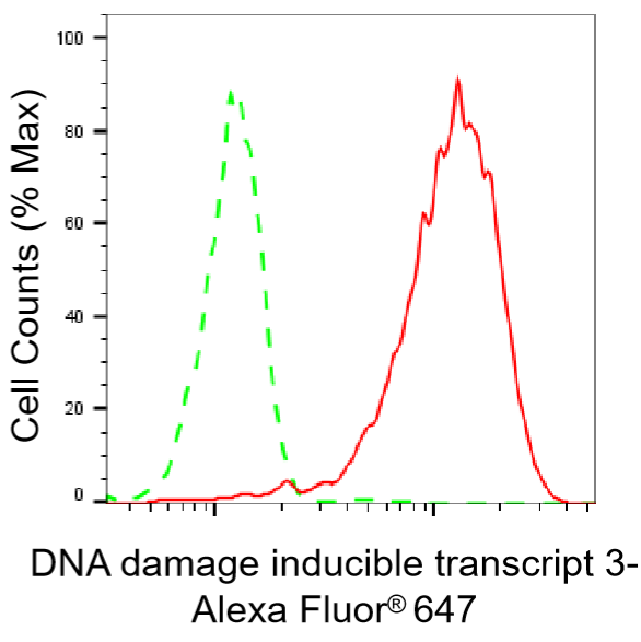 [KD Validated] Anti-DDIT3 Rabbit mAb [56S58N63]