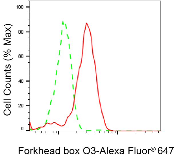 [KD Validated] Anti-FOXO3 Rabbit mAb [90G89O89]