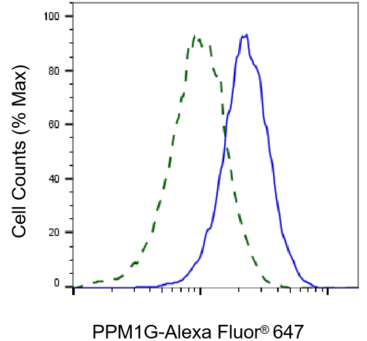 [KD Validated] Anti-PPM1G Rabbit mAb [35N56Q21]
