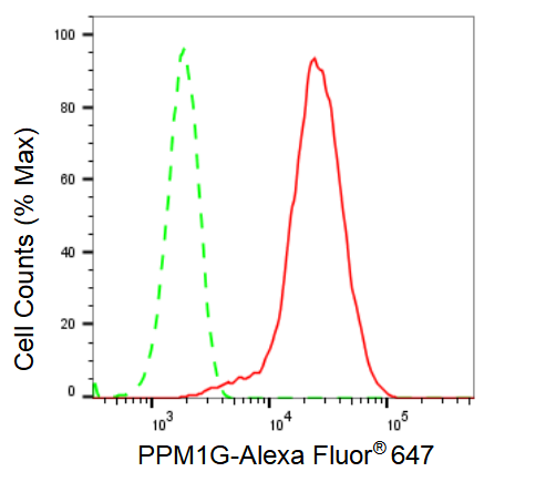 [KD Validated] Anti-PPM1G Rabbit mAb [21H74N81]