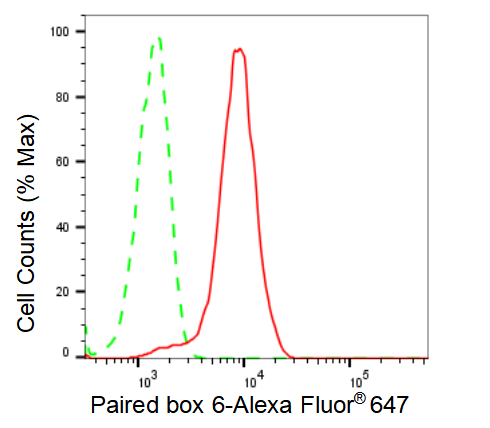 [KD Validated] Anti-PAX6 Rabbit mAb [54S94L66]