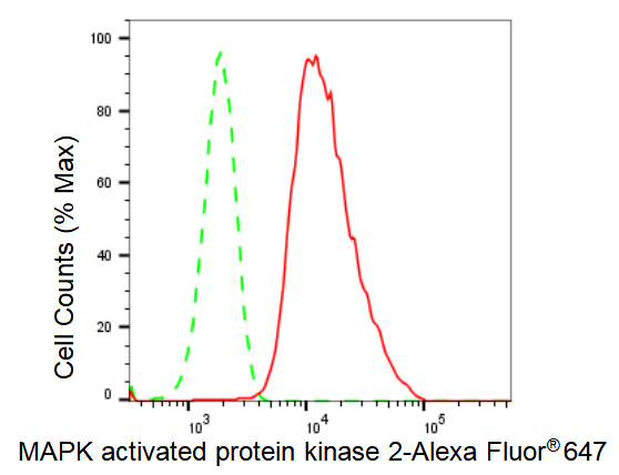 [KD Validated] Anti-MAPKAPK2 Rabbit mAb [98F76O46]