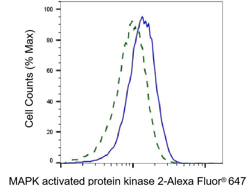 [KD Validated] Anti-MAPKAPK2 Rabbit mAb [98F76O46]