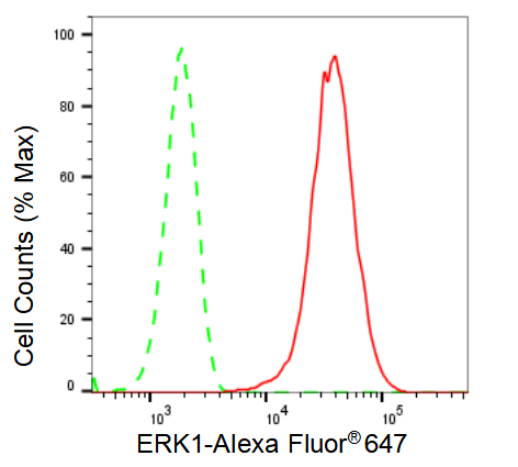 [KD Validated] Anti-MAPK3 Rabbit mAb [57G78G38]