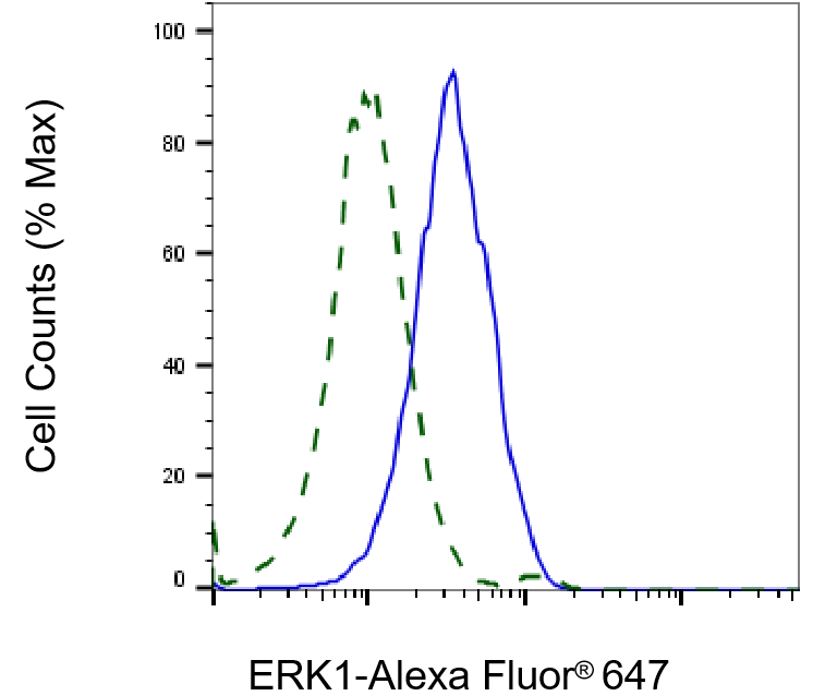 [KD Validated] Anti-MAPK3 Rabbit mAb [57G78G38]