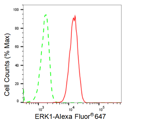 [KD Validated] Anti-MAPK3 Rabbit mAb [46S06G39]