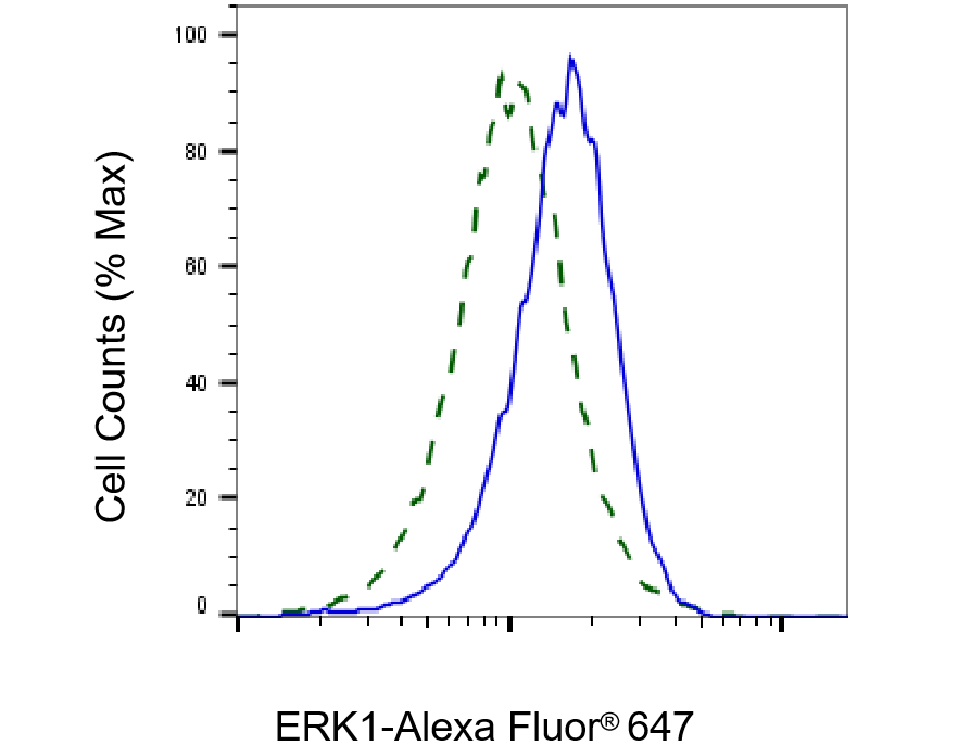 [KD Validated] Anti-MAPK3 Rabbit mAb [46S06G39]