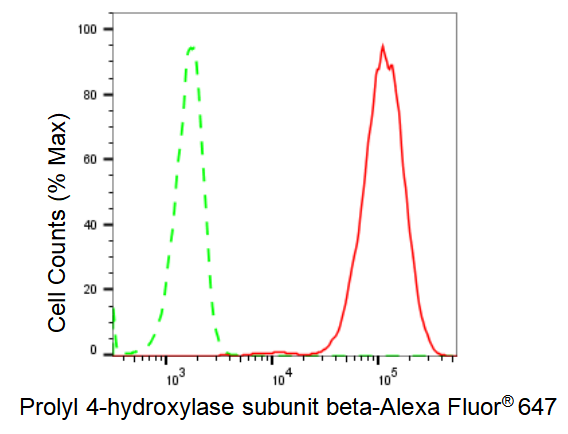 [KD Validated] Anti-P4HB Rabbit mAb [30E06R03]