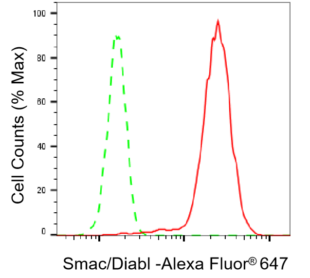 [KD Validated] Anti-DIABLO Rabbit mAb [85S95Q45]