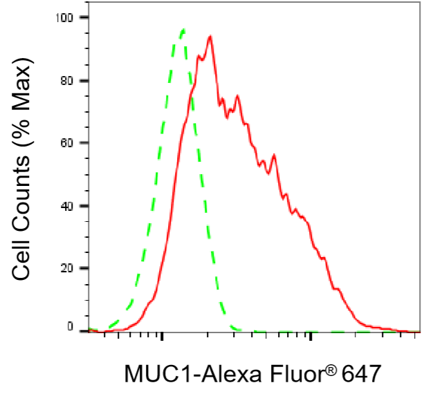 [KD Validated] Anti-MUC1 Rabbit mAb [87D54R49]
