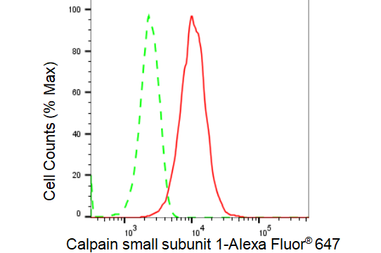 [KD Validated] Anti-CAPNS1 Rabbit mAb [93J01P44]