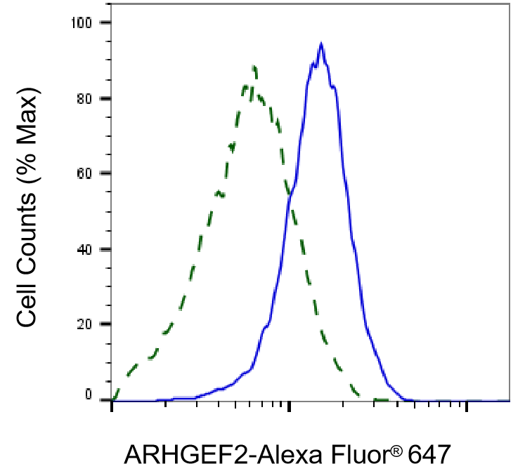 [KD Validated] Anti-ARHGEF2 Rabbit mAb [57E18J84]