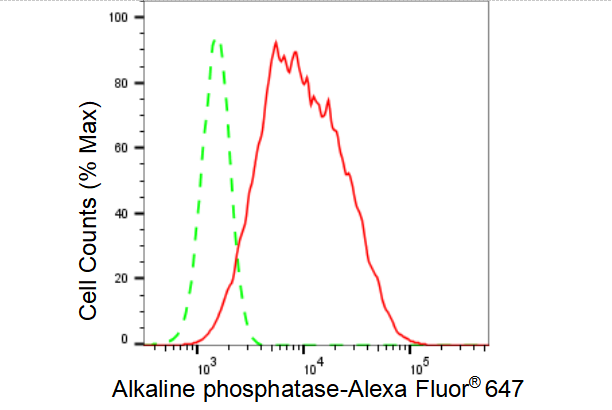 [KD Validated] Anti-ALPI Rabbit mAb [58G23B97]