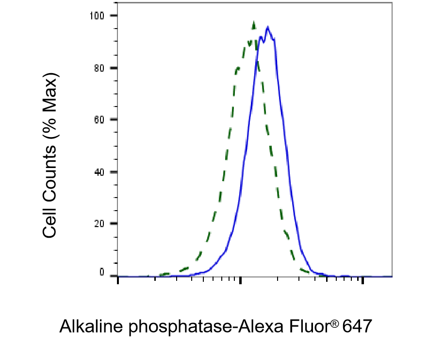 [KD Validated] Anti-ALPI Rabbit mAb [58G23B97]