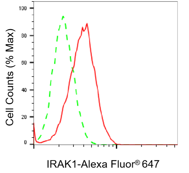 [KD Validated] Anti-IRAK1 Rabbit mAb [68Q56K56]