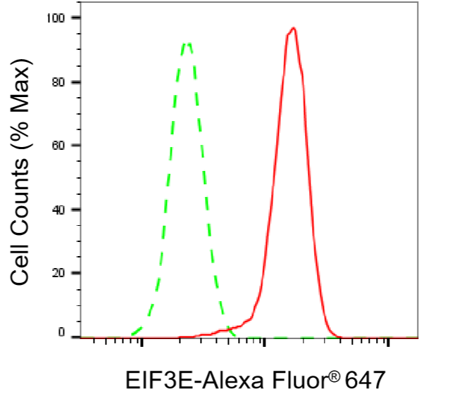[KD Validated] Anti-EIF3E Rabbit mAb [22A25T73]