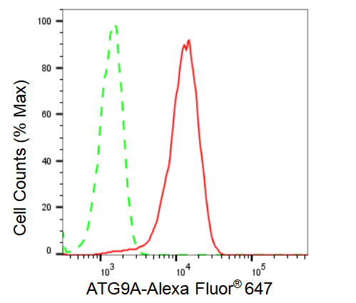 [KD Validated] Anti-ATG9A Rabbit mAb [66N10B31]