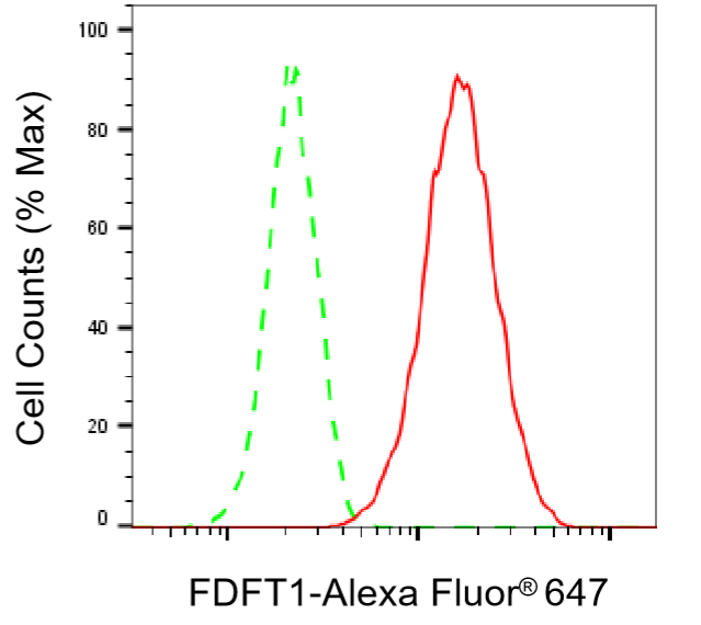 [KD Validated] Anti-FDFT1 Rabbit mAb [85C54A49]