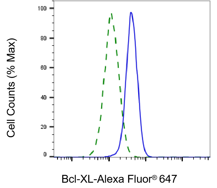 [KD Validated] Anti-BCL2L1 Rabbit mAb [86N68E65]