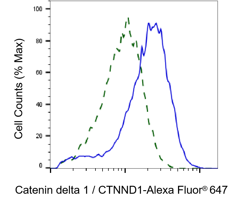 [KD Validated] Anti-CTNND1 Rabbit mAb [49L78T22]