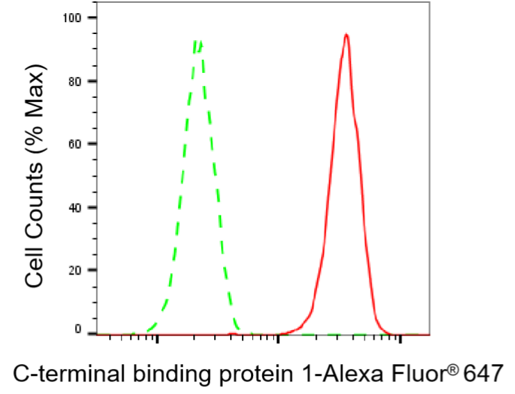 [KD Validated] Anti-CTBP1 Rabbit mAb [24E95G14]