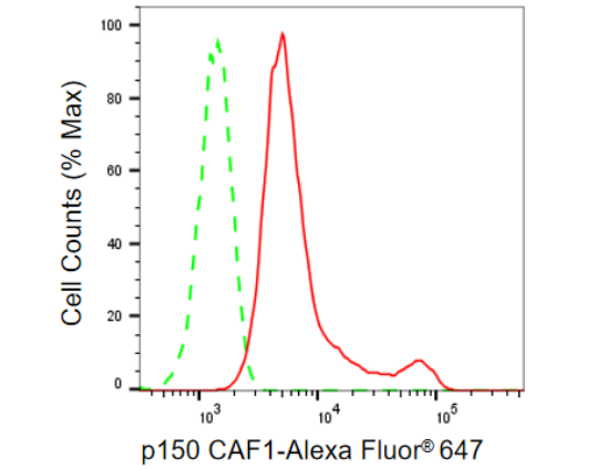 [KD Validated] Anti-CHAF1A Rabbit mAb [33G70M61]