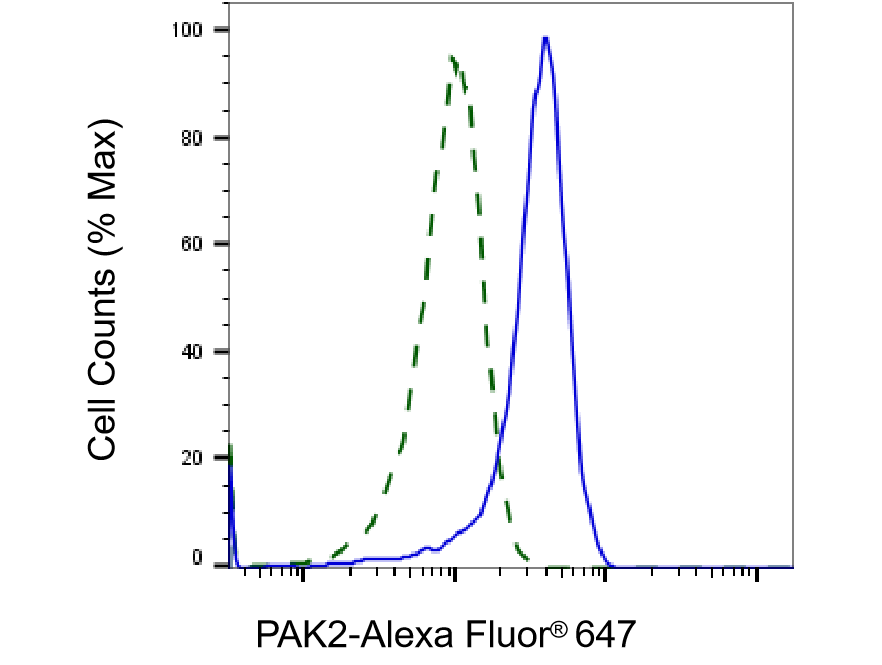 [KD Validated] Anti-PAK2 Rabbit mAb [17H62C32]