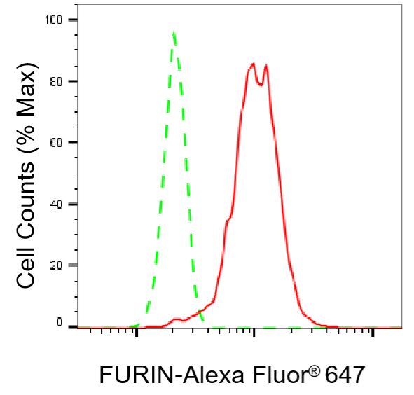 [KD Validated] Anti-FURIN Rabbit mAb [51C11B65]