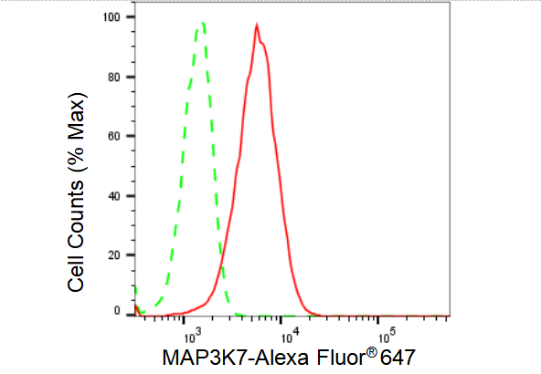 [KD Validated] Anti-MAP3K7 Rabbit mAb [81S46L64]