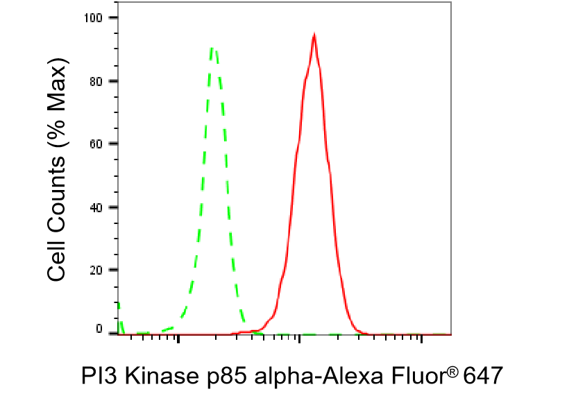[KD Validated] Anti-PIK3R1 Rabbit mAb [79G03D56]