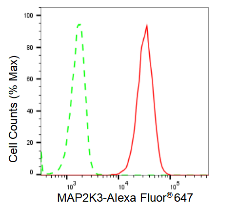 [KD Validated] Anti-MAP2K3 Rabbit mAb [95B96E02]
