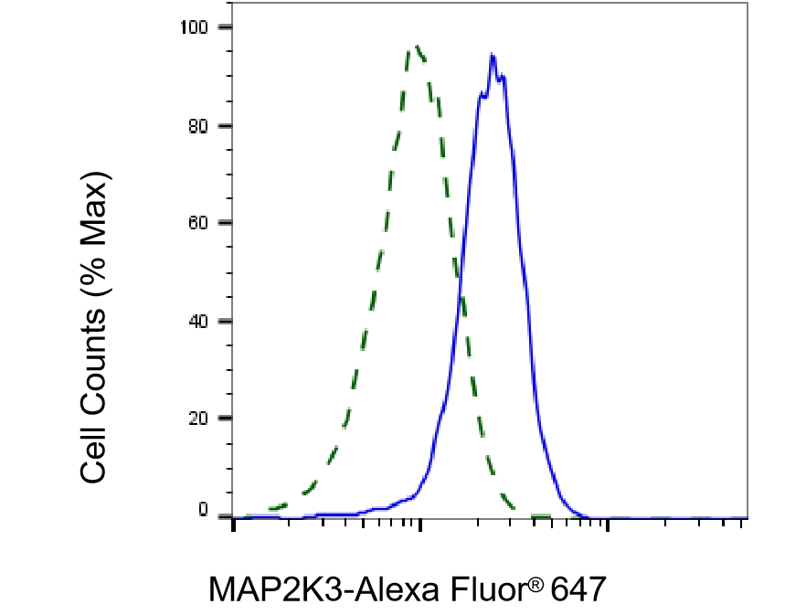[KD Validated] Anti-MAP2K3 Rabbit mAb [95B96E02]