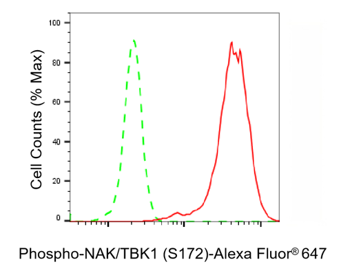 [KD Validated] Anti-TBK1 Rabbit mAb [25A29S35]