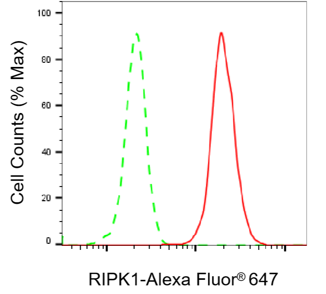 [KD Validated] Anti-RIPK1 Rabbit mAb [40M66F58]