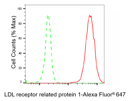 [KD Validated] Anti-LRP1 Rabbit mAb [17N34B26]