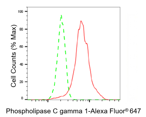 [KD Validated] Anti-PLCG1 Rabbit mAb [47H40S62]