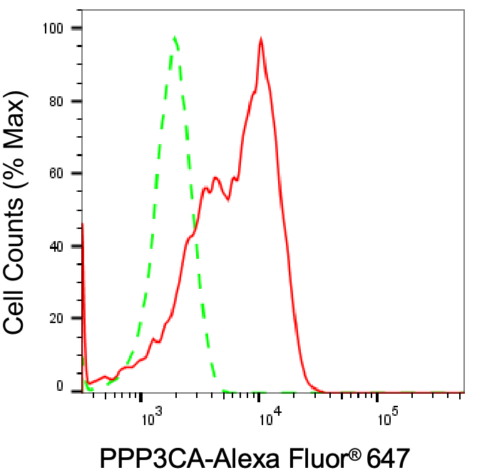 [KD Validated] Anti-PPP3CA Rabbit mAb [11T45J64]