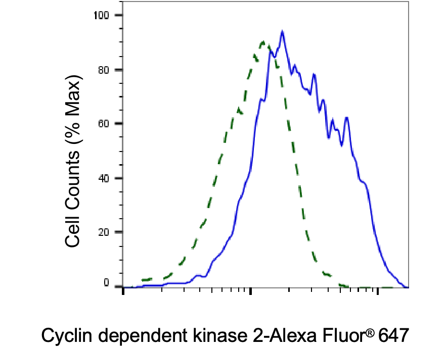 [KD Validated] Anti-CDK2 Rabbit mAb [65T09P45]