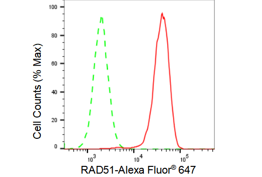 [KD Validated] Anti-RAD51 Rabbit mAb [14E13S93]