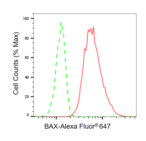 [KD Validated] Anti-BAX Rabbit mAb [48K59O83]