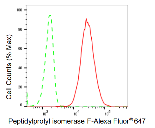 [KD Validated] Anti-PPIF Rabbit mAb [80Q00A03]