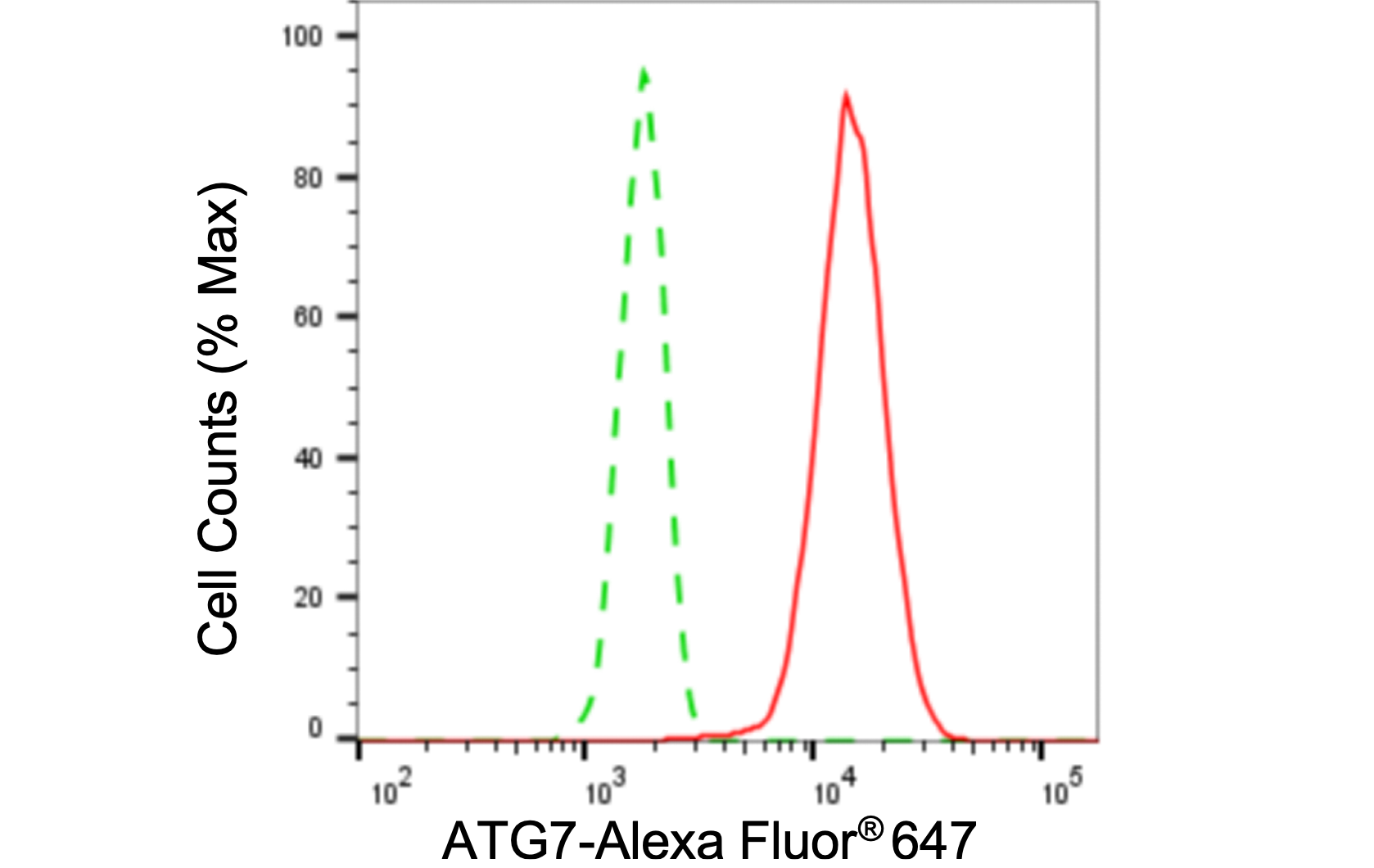 [KD Validated] Anti-ATG7 Rabbit mAb [68D13H15]