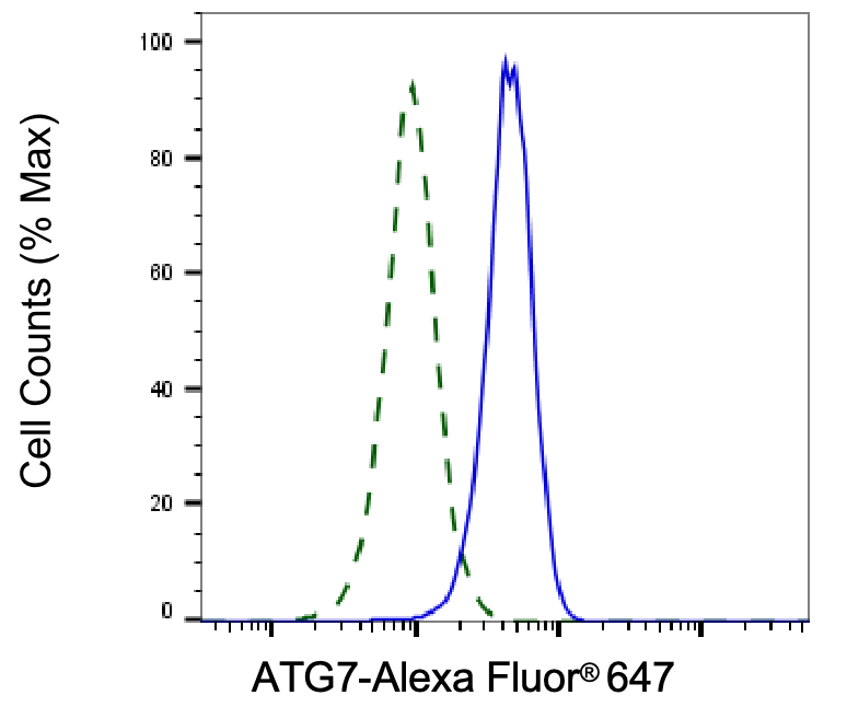 [KD Validated] Anti-ATG7 Rabbit mAb [68D13H15]