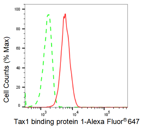 [KD Validated] Anti-TAX1BP1 Rabbit mAb [28F38A94]