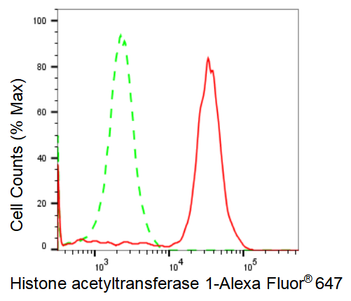 [KD Validated] Anti-HAT1 Rabbit mAb [77T45T67]