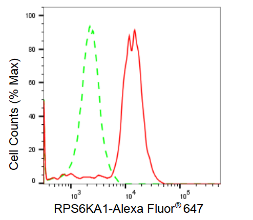 [KD Validated] Anti-RPS6KA1 Rabbit mAb [43S15S56]