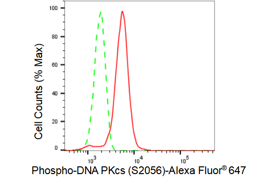 [KD Validated] Anti-PRKDC Rabbit mAb [37B56S55]