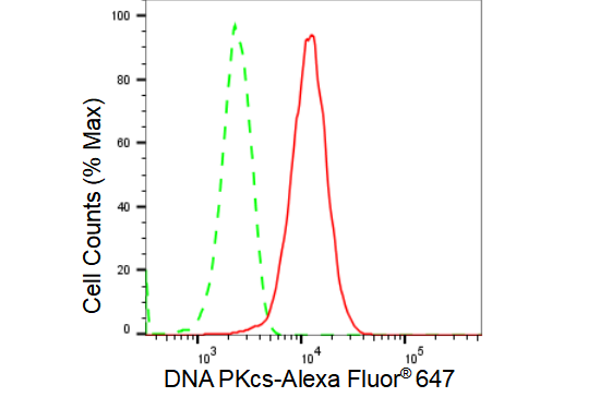 [KD Validated] Anti-PRKDC Rabbit mAb [60S60B40]